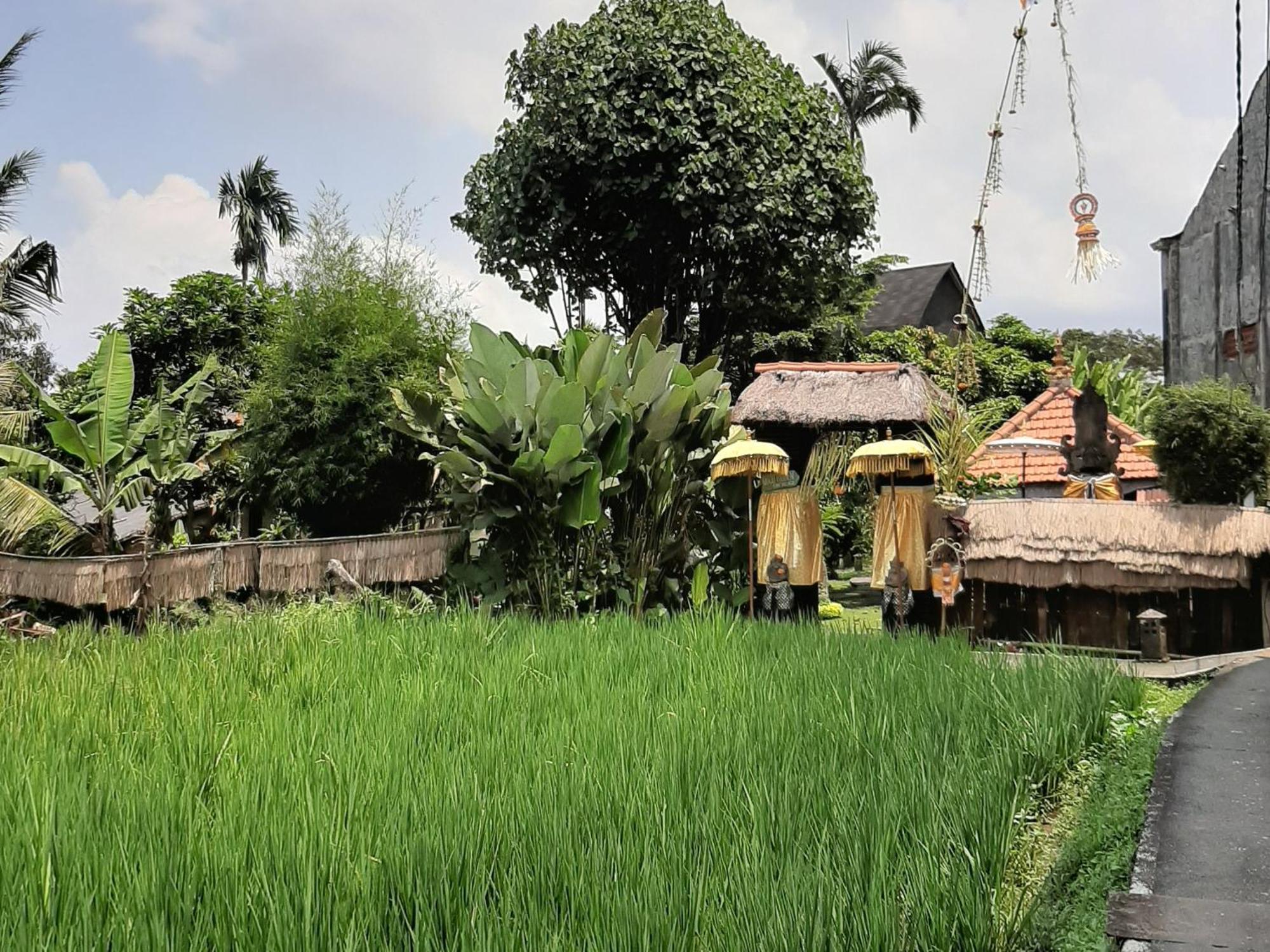 Ubud Hidden Villa Yone Village Exterior foto